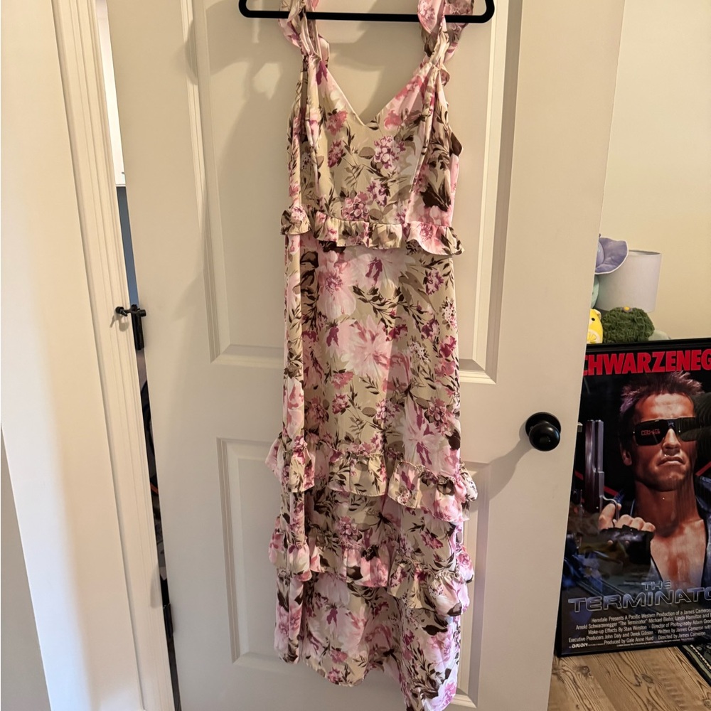 Express Pink and Cream Smocked Dress
